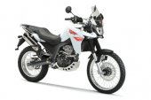 2008 Derbi Terra Adventure 125 photo